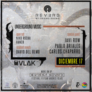 REVERBPARTY1curvas